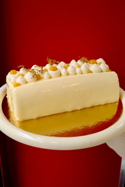 Bûche Mandarine Sapin - Image 1