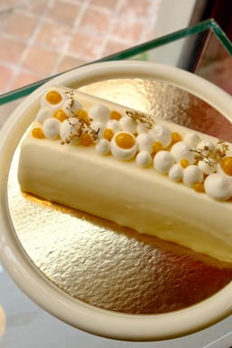 Bûche Mandarine Sapin - Image 2